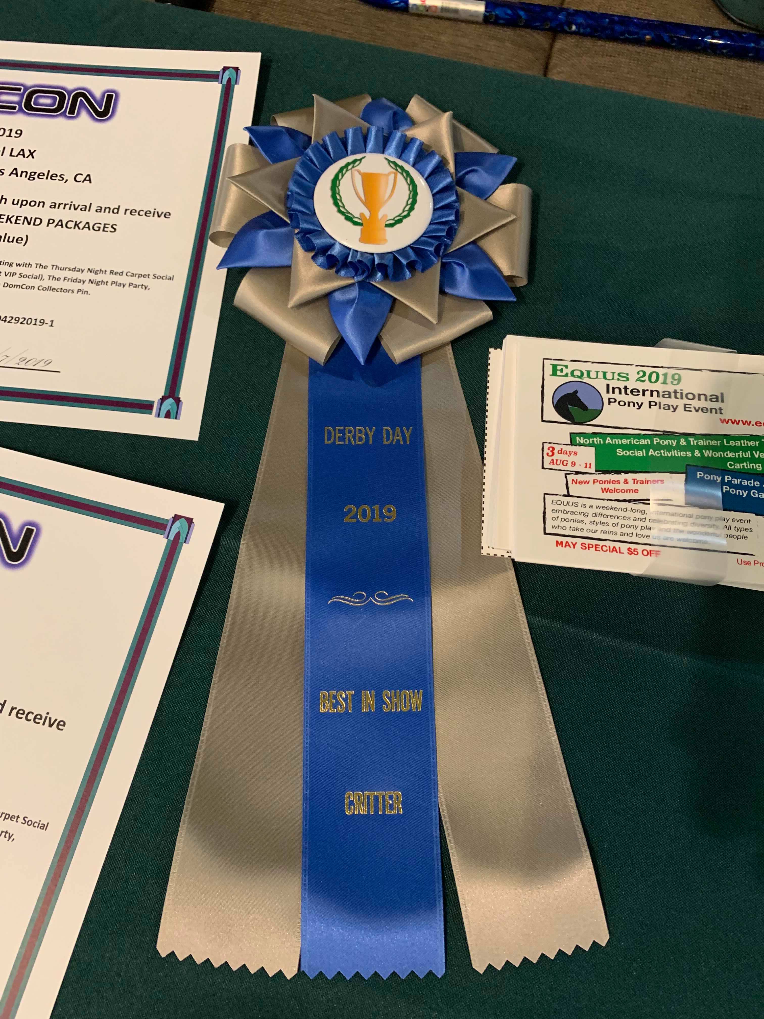 Rosette for pony