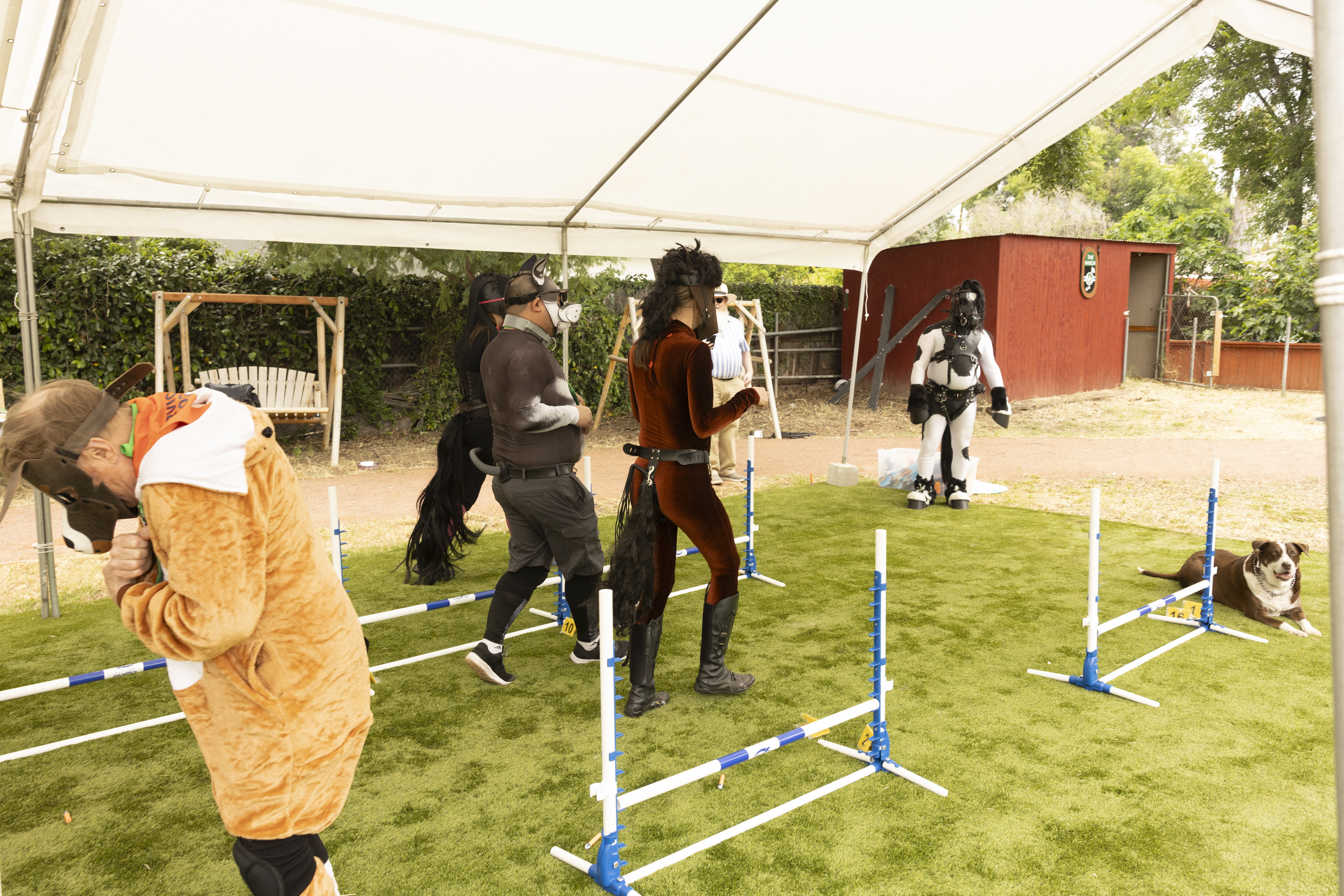 Ann_Pony-Play-20240504-257