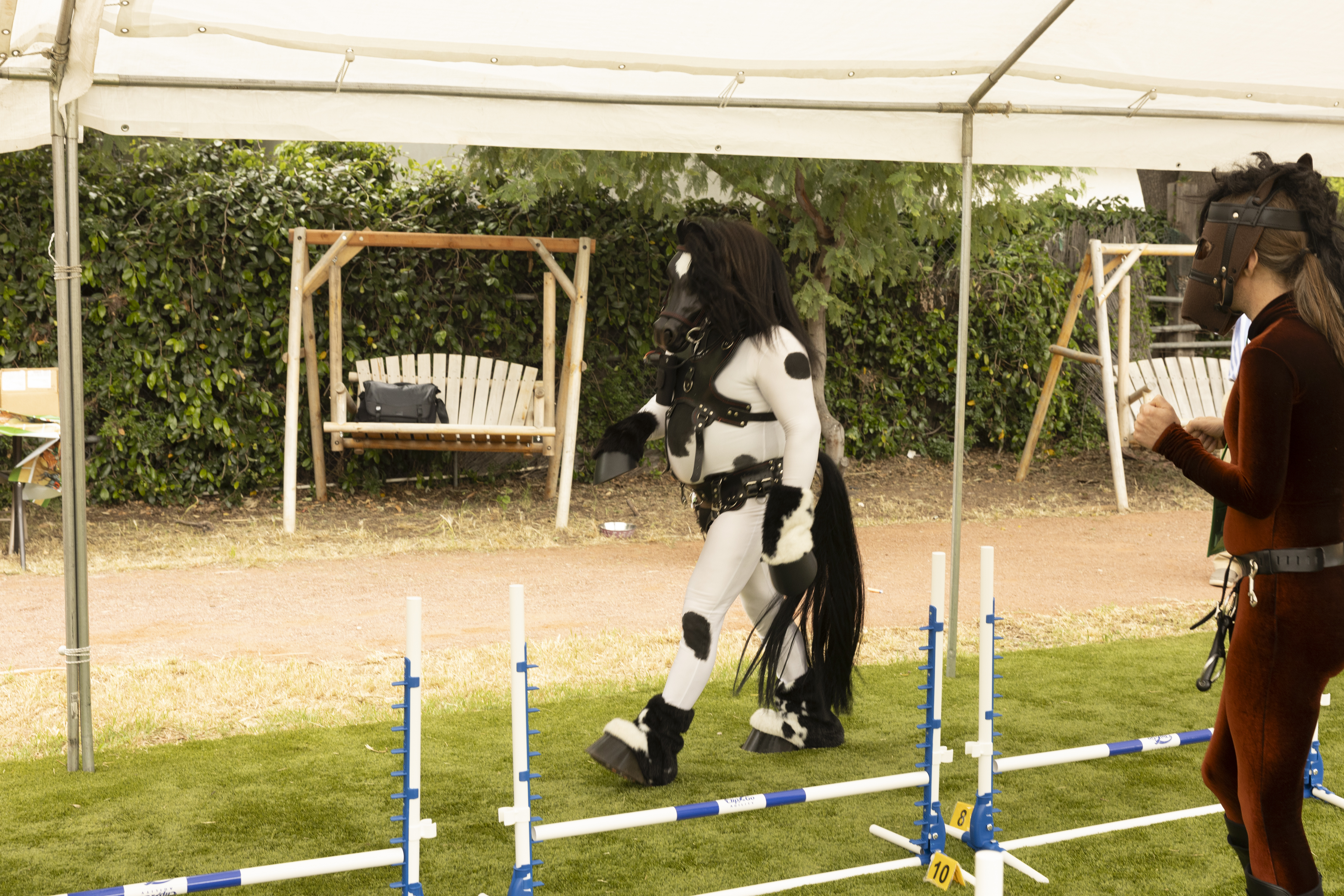 Ann_Pony-Play-20240504-260