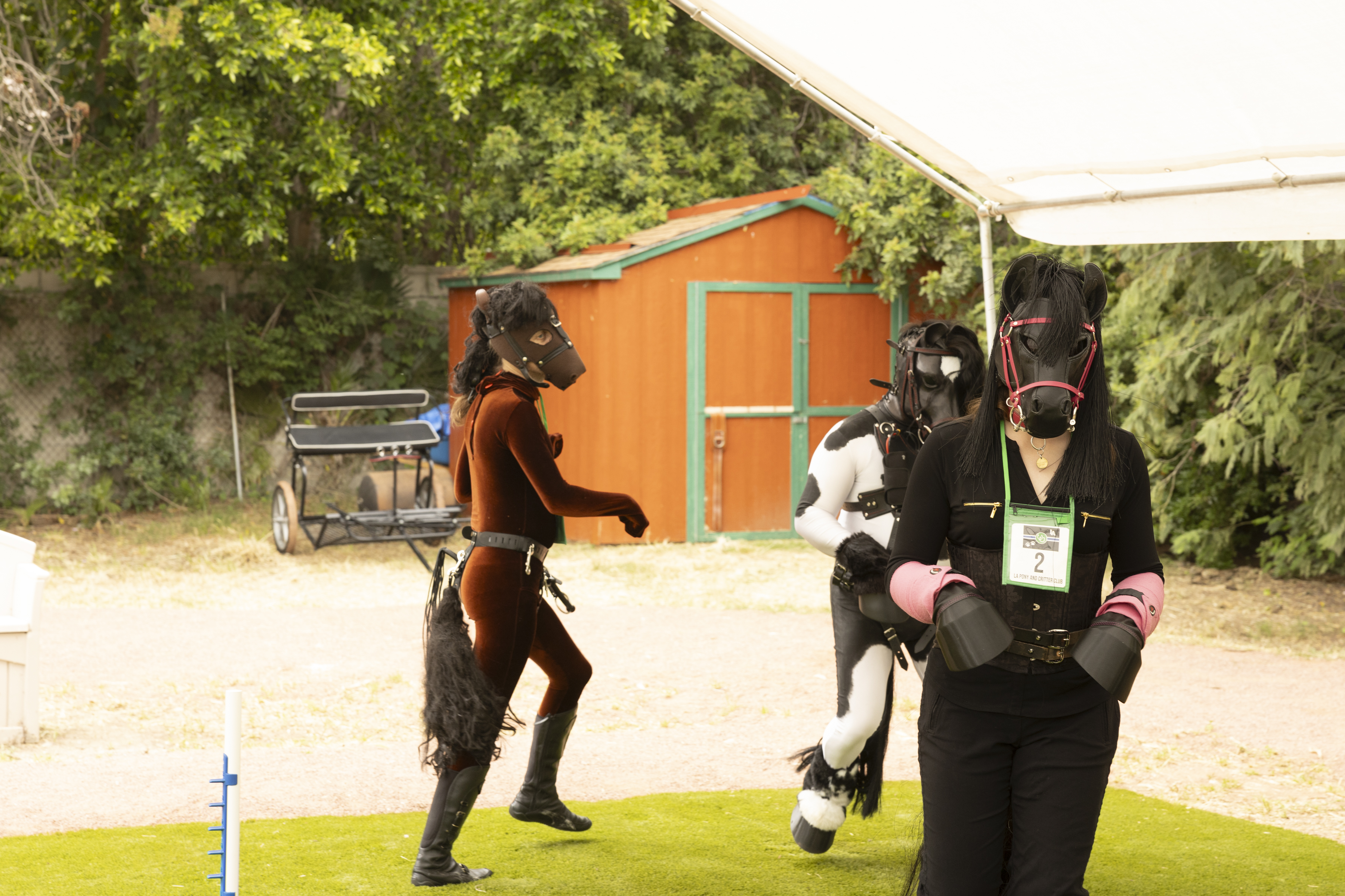 Ann_Pony-Play-20240504-29