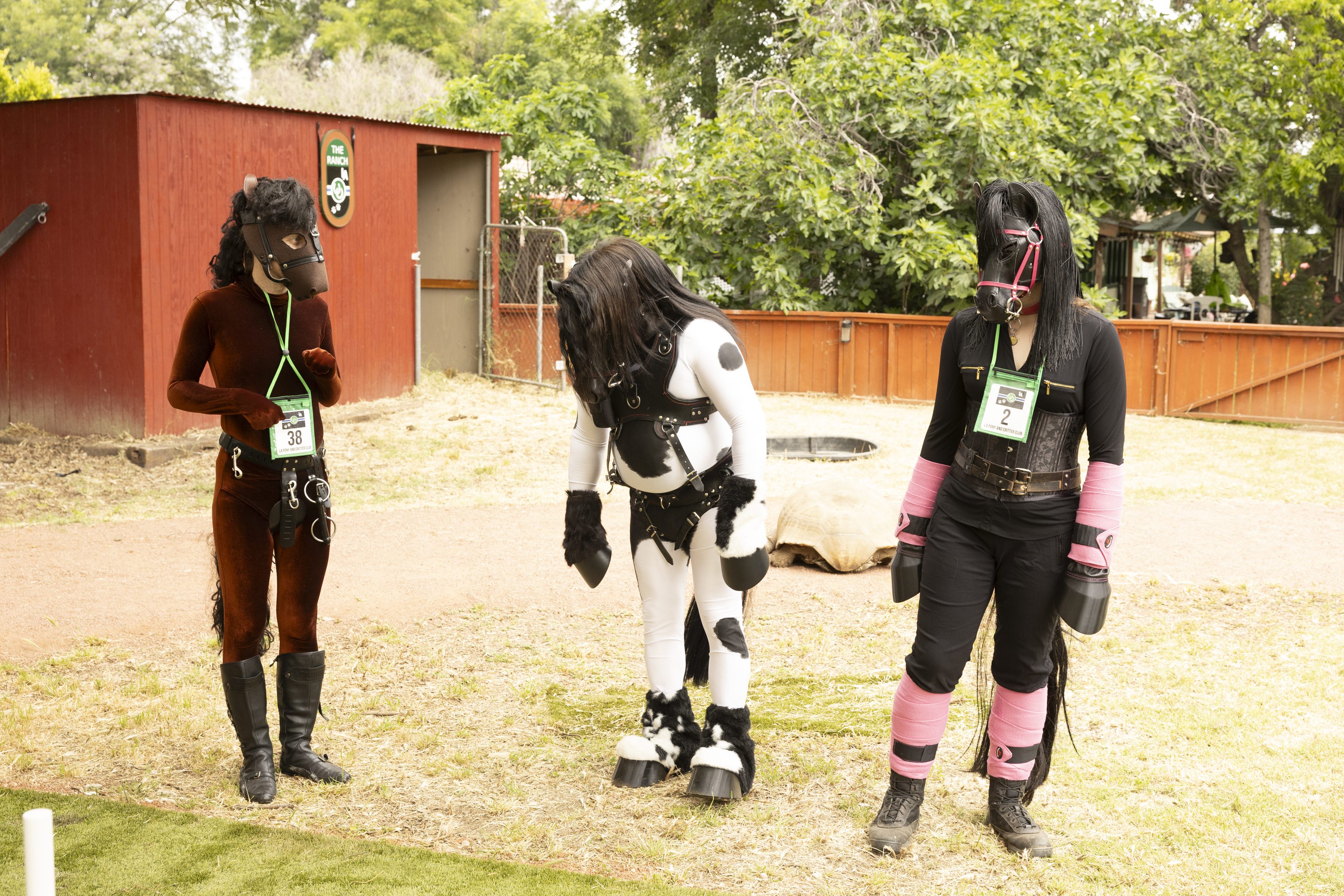 Ann_Pony-Play-20240504-36