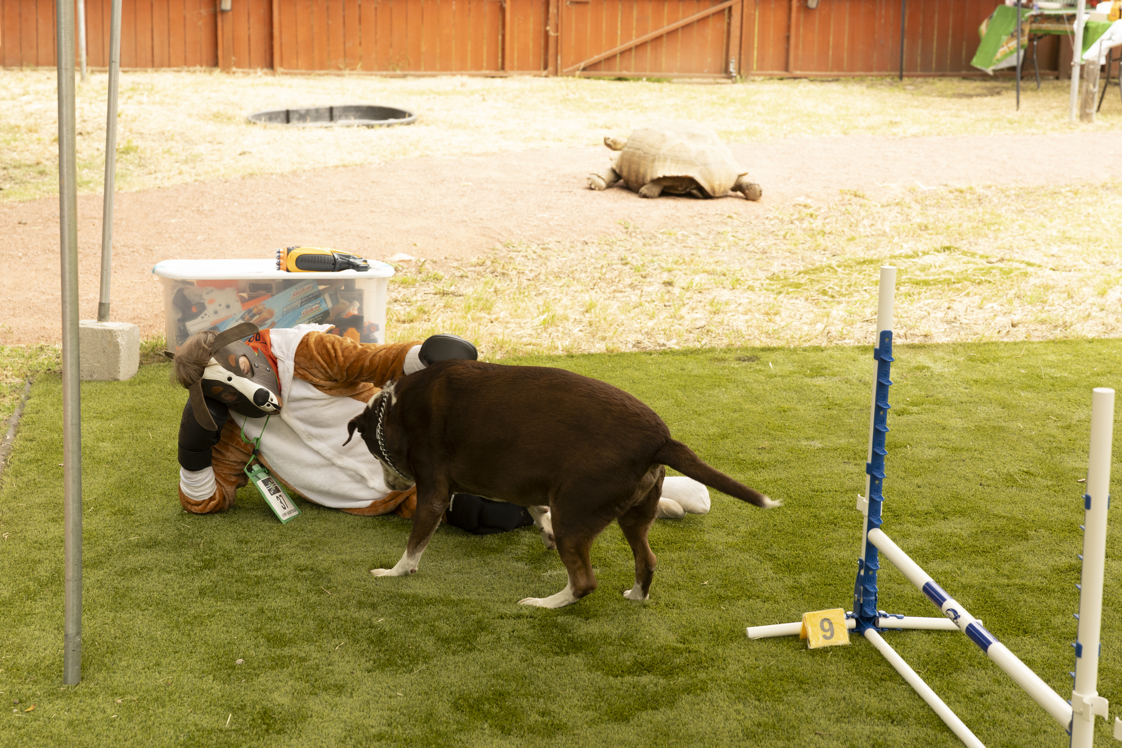 Ann_Pony-Play-20240504-43