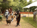 Ann_Pony-Play-20240504-122