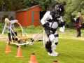 DraftHorseGames20230098