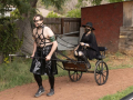 RompAndTrot20220075