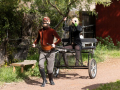 LongDistanceCartRace20230132