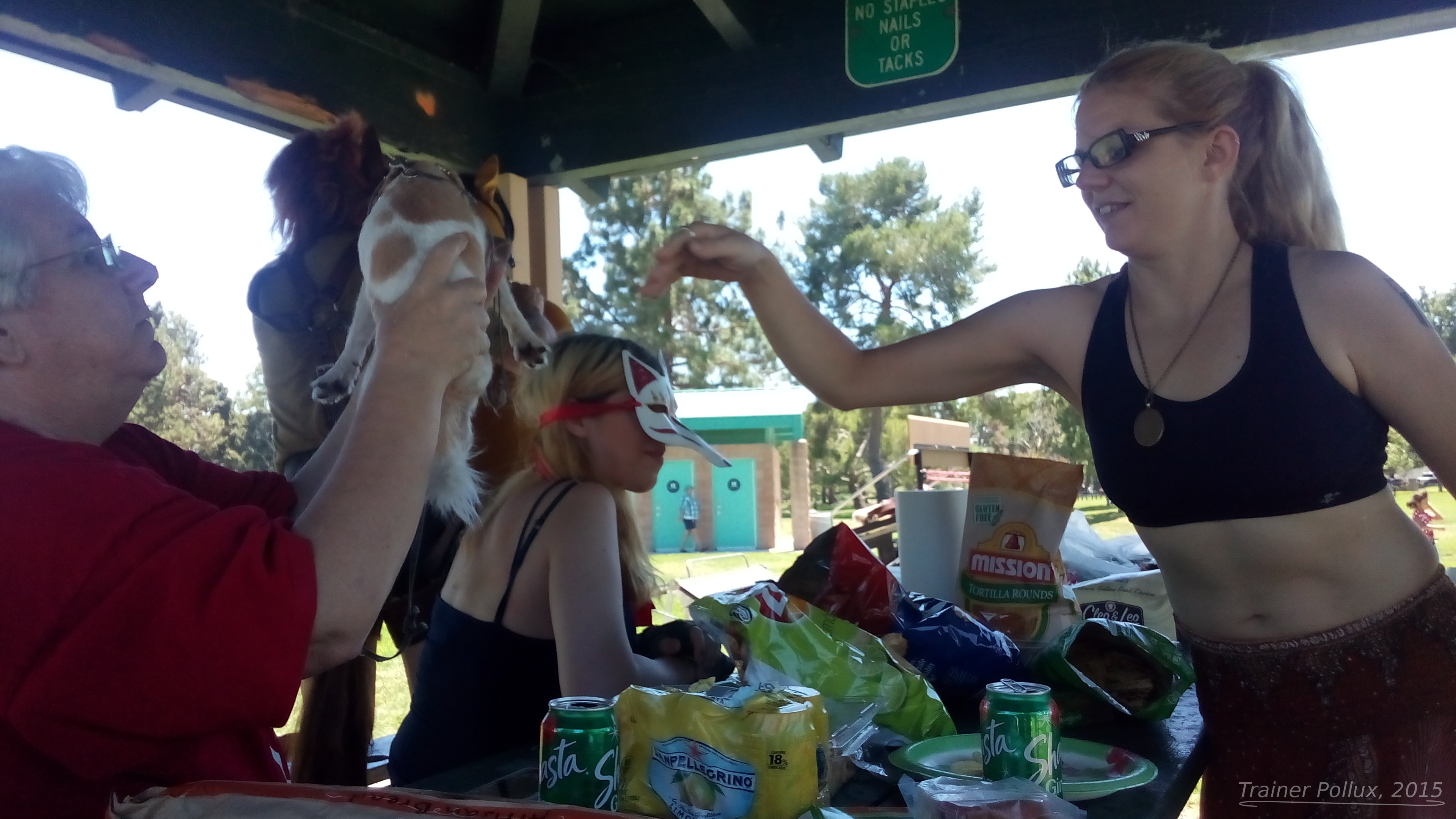 IMG_20150725_141829_WM