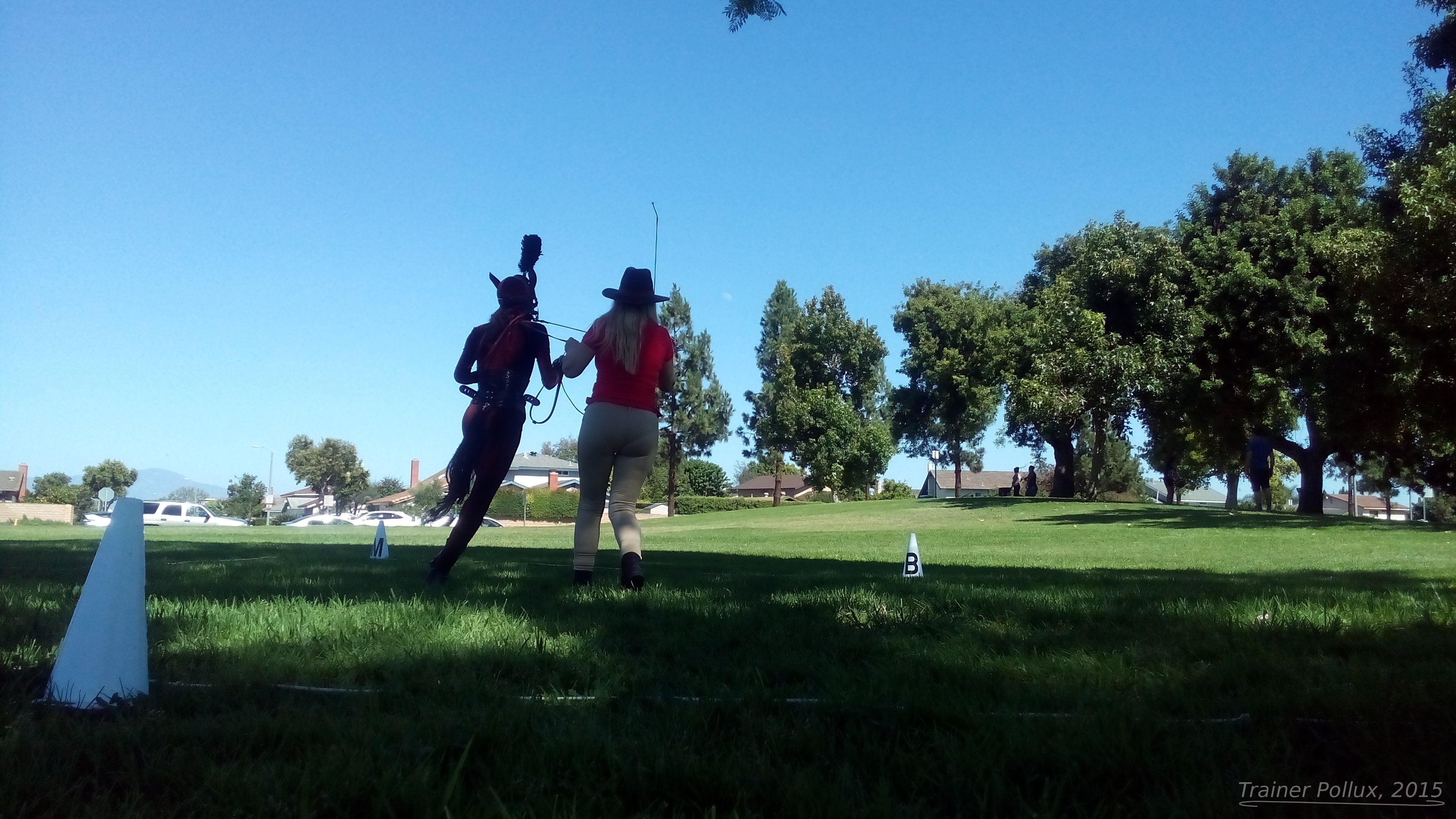 IMG_20150725_154720_WM