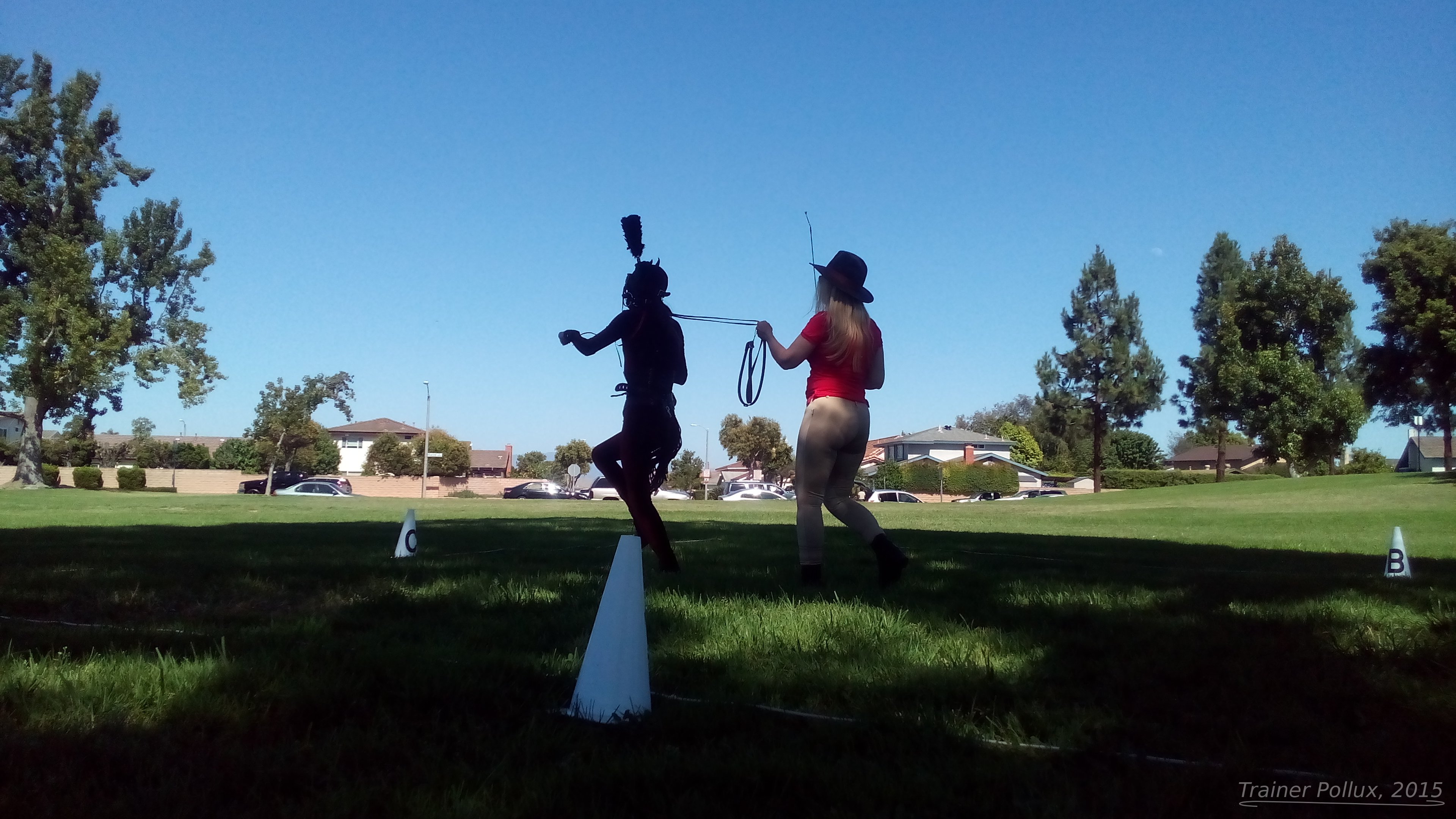 IMG_20150725_154738_WM