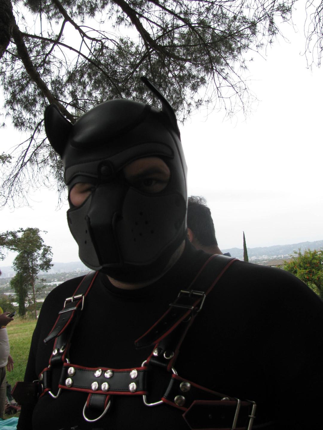 LA Ponies May 19 2019 036
