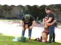 PuppyPalooza2025Flyball0001
