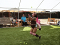 PuppyPalooza2025Flyball0010