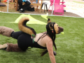PuppyPalooza2025Flyball0014