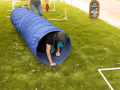 PuppyPalooza20220083