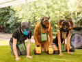 PuppyPalooza20220417