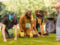 PuppyPalooza20220421