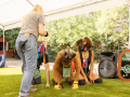 PuppyPalooza20220430