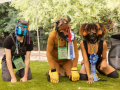 PuppyPalooza20220453