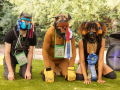 PuppyPalooza20220455