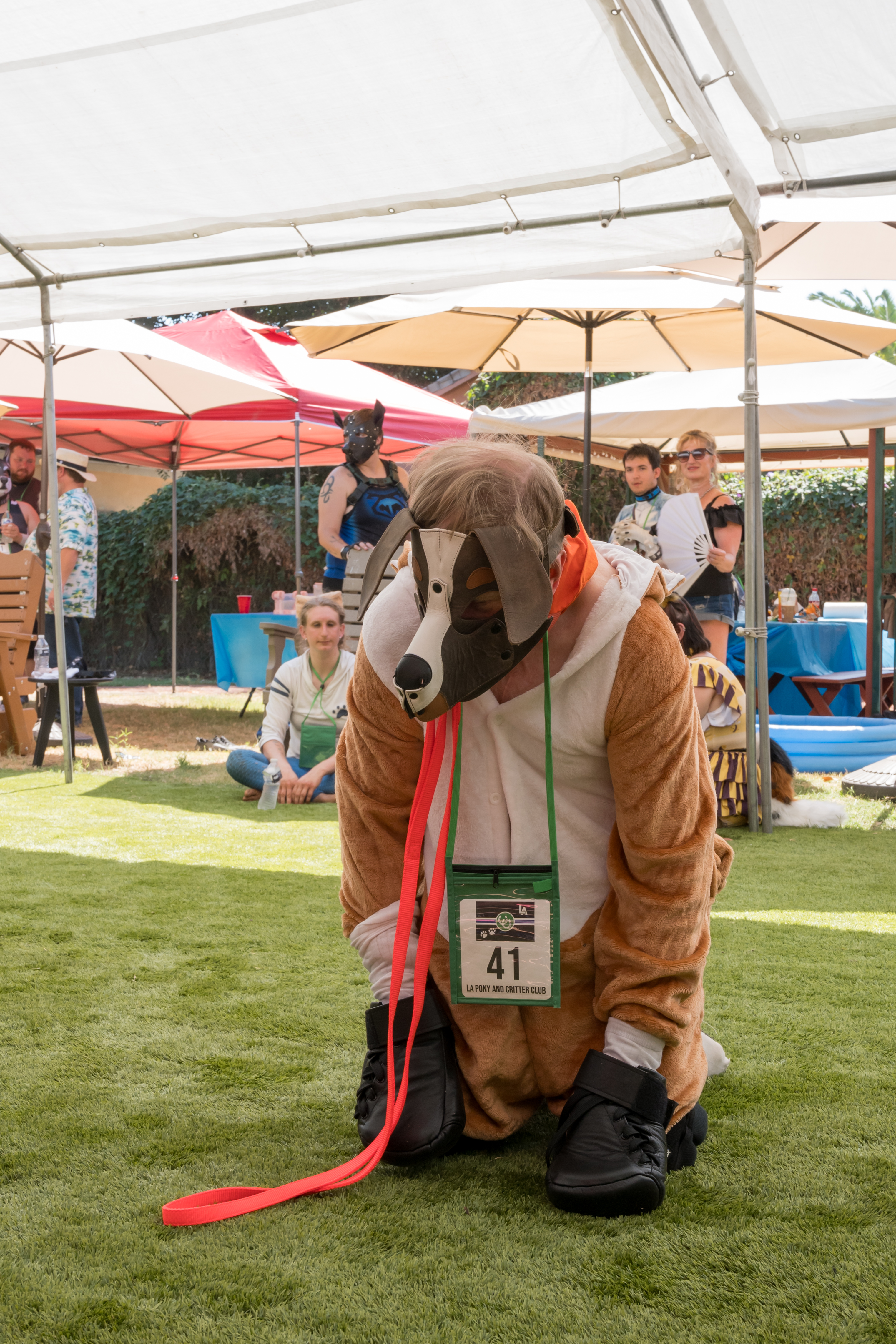 PuppyPalooza2024_0083