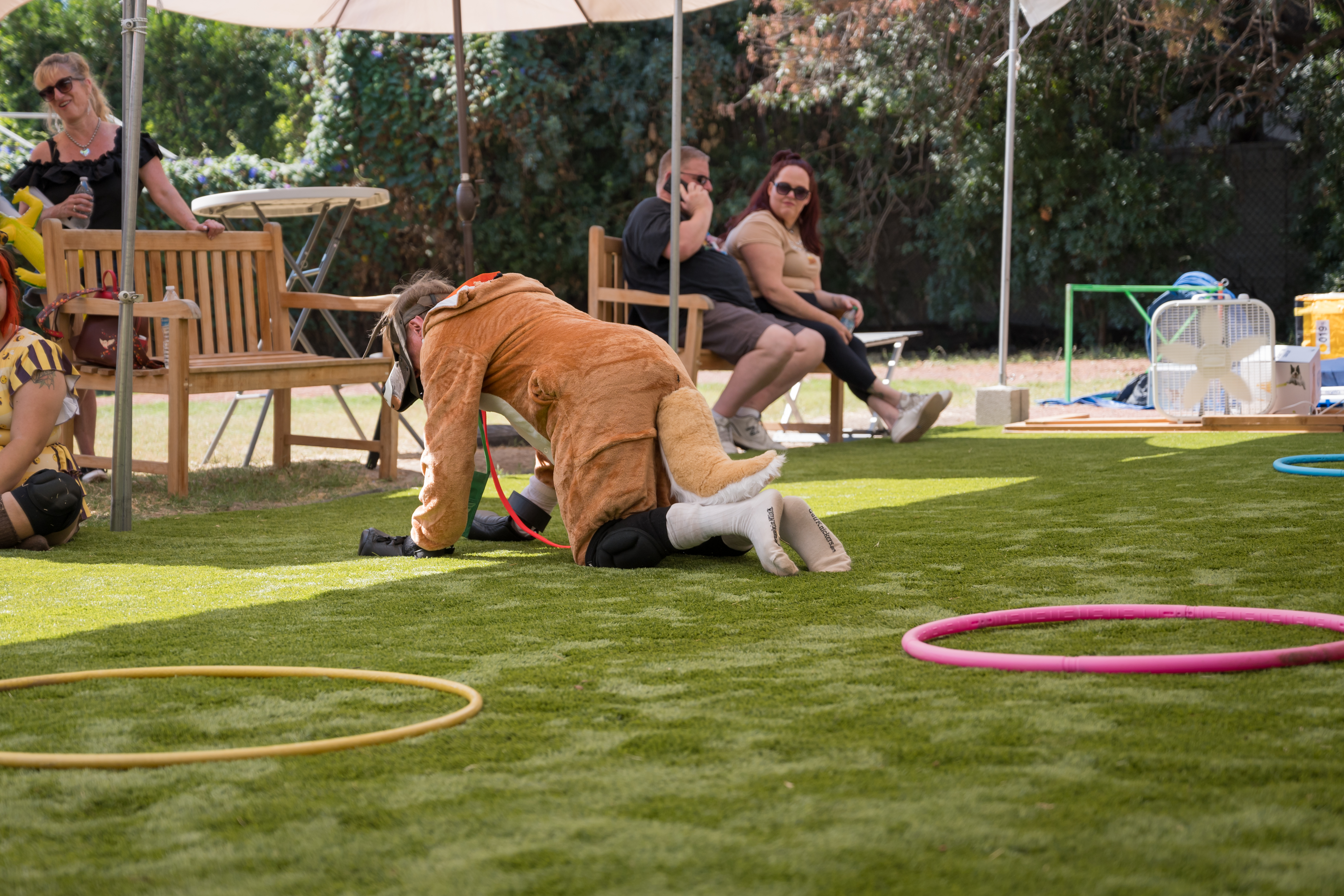 PuppyPalooza2024_0090