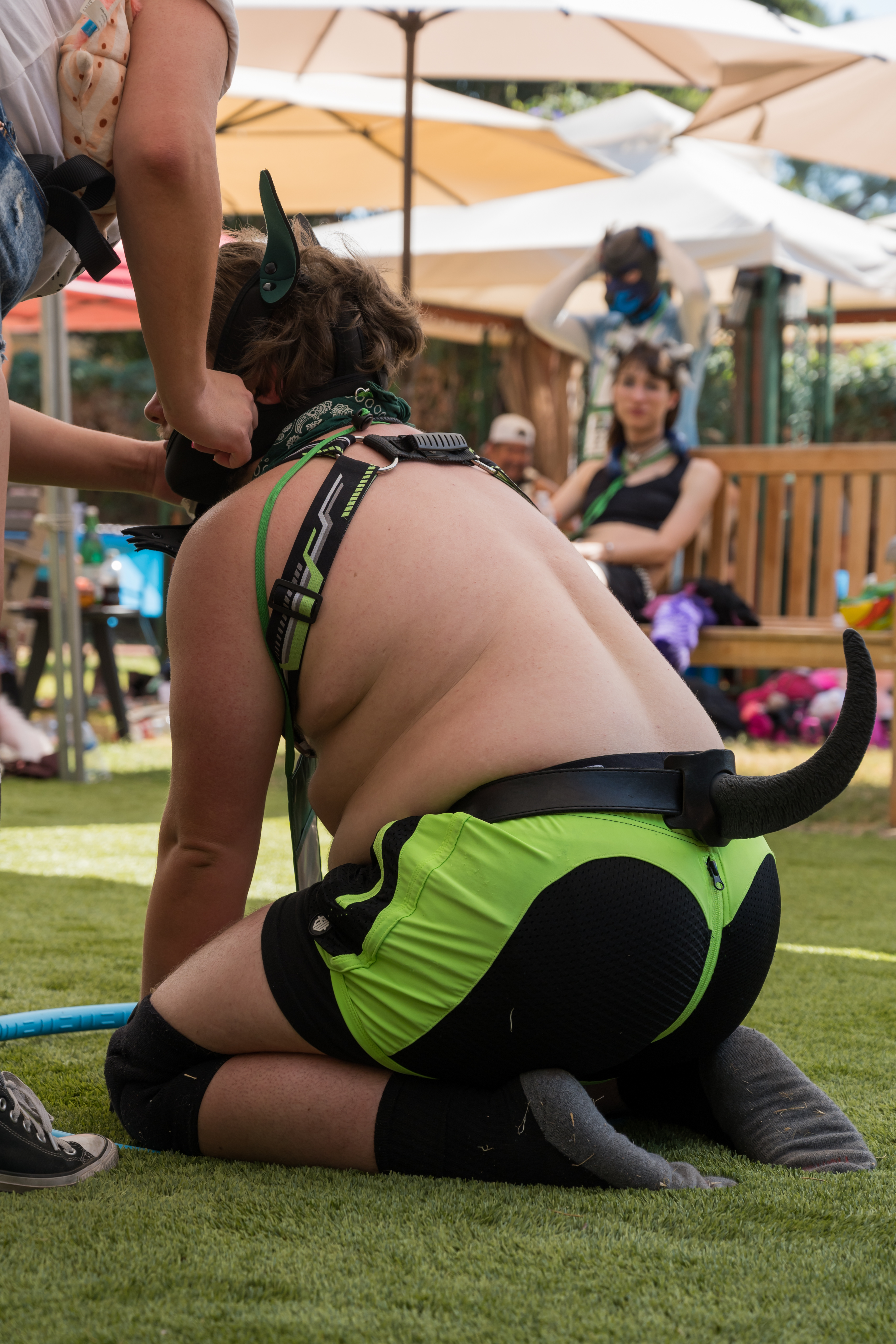 PuppyPalooza2024_0151