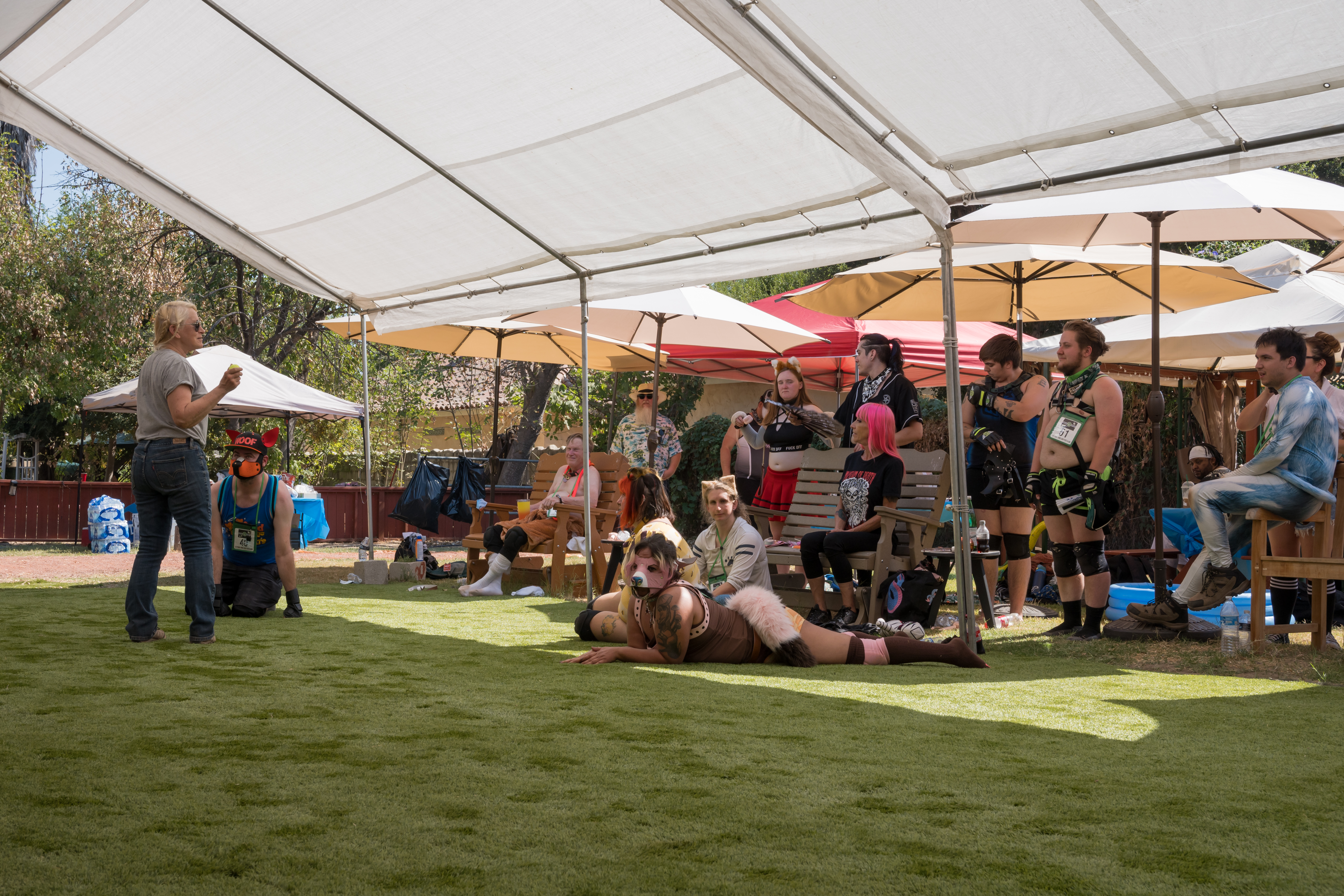 PuppyPalooza2024_0166