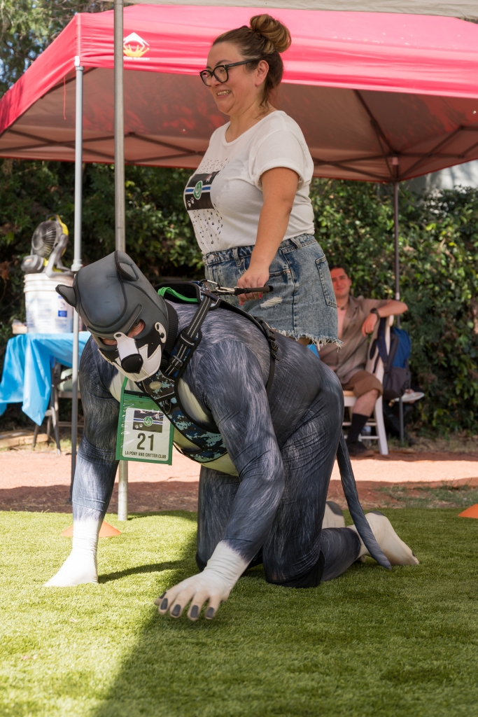 PuppyPalooza2024_0262