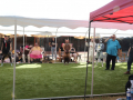 PuppyPalooza2025Awards0026