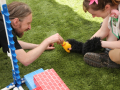 PuppyPalooza2025BarnHunt0024