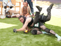 PuppyPalooza2025BarnHunt0029