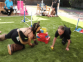 PuppyPalooza2025BarnHunt0042