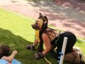 PuppyPalooza2025BarnHunt0051
