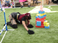 PuppyPalooza2025BarnHunt0054