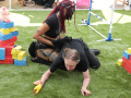 PuppyPalooza2025BarnHunt0057