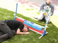 PuppyPalooza2025BarnHunt0071