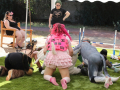 PuppyPalooza2025BarnHunt0074