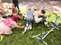 PuppyPalooza2025BarnHunt0080