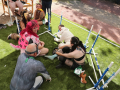 PuppyPalooza2025BarnHunt0082