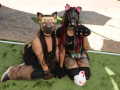 PuppyPalooza2025BarnHunt0083