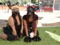 PuppyPalooza2025BarnHunt0090