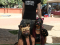 PuppyPalooza2025BarnHunt0092