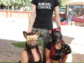 PuppyPalooza2025BarnHunt0094
