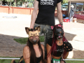 PuppyPalooza2025BarnHunt0095