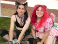 PuppyPalooza2025BarnHunt0103