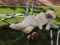 PuppyPalooza2025BarnHunt0112