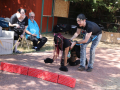 PuppyPalooza2025Canicross0027