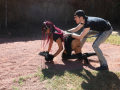 PuppyPalooza2025Canicross0031