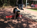 PuppyPalooza2025Canicross0063