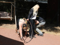 PuppyPalooza2025Canicross0071